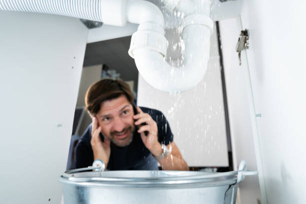 Best Boilers & Radiators  in Carbon Cliff, IL