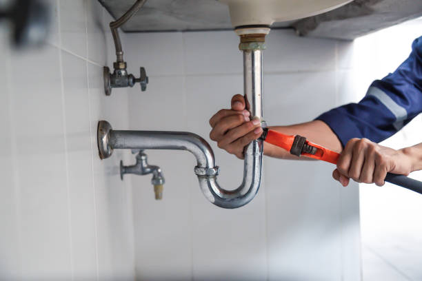 Best Clogged Drain Plumber  in Carbon Cliff, IL