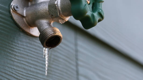 Best Water Leak Repair  in Carbon Cliff, IL
